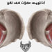 عضلات کف لگن